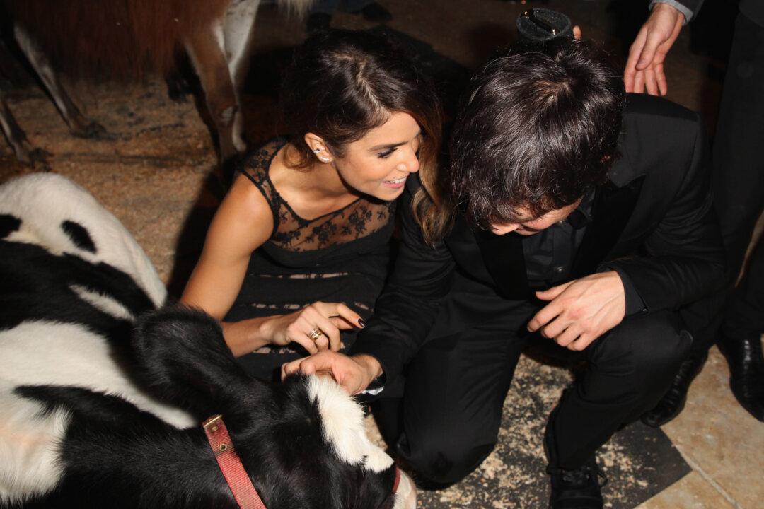 Ian Somerhalder and Nikki Reed Trying to Make Nina Dobrev Jealous? New Report From Vampire Diaries Set