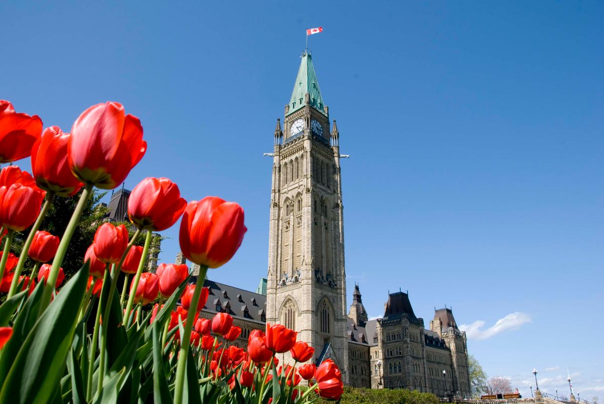 Canadian Tulip Festival Named Number One Event