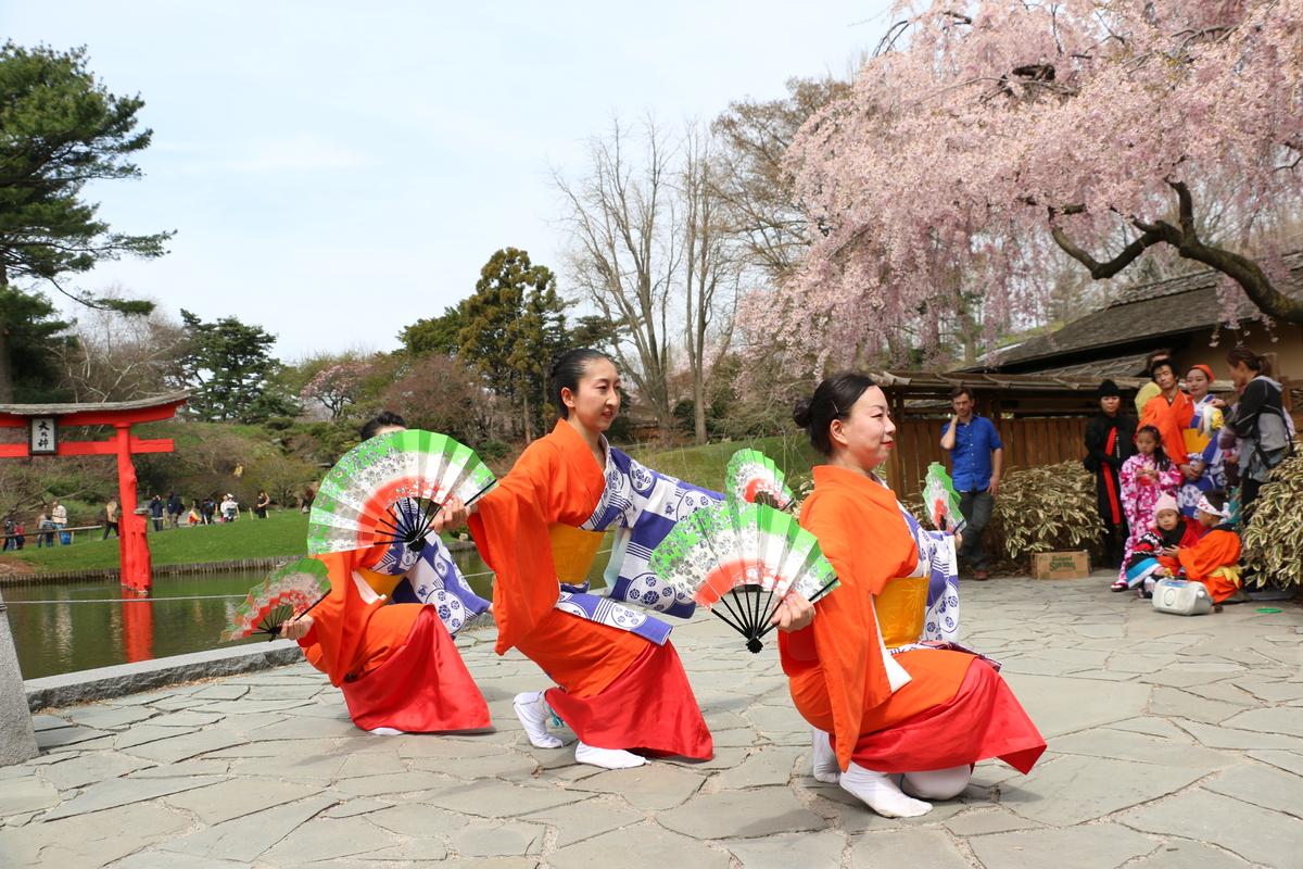 The Metropolitan Museum and Others Give Free One-Year Memberships to Municipal ID Holders