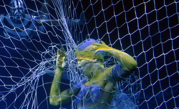 Trapped: Derelict Fishing Gear is Big Trouble for Marine Life