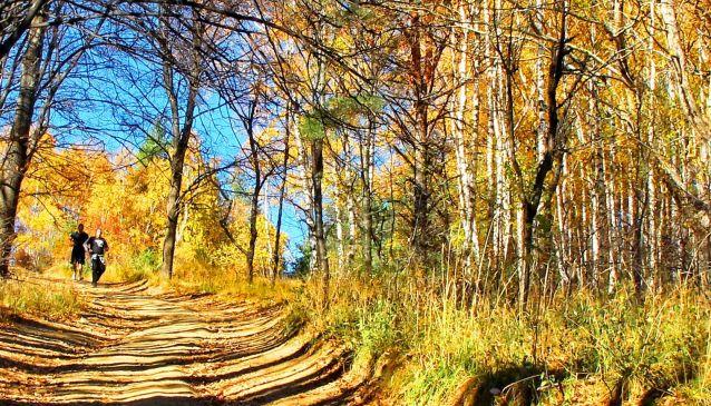 Vitosha Mountain in the Autumn, Bulgaria