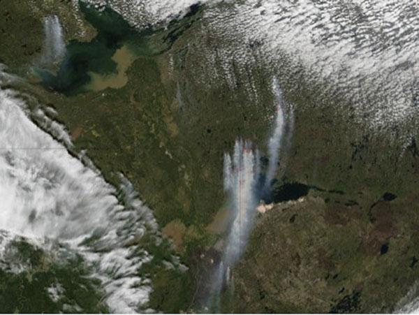 Canadian Forests Require Wildfires for Biodiversity