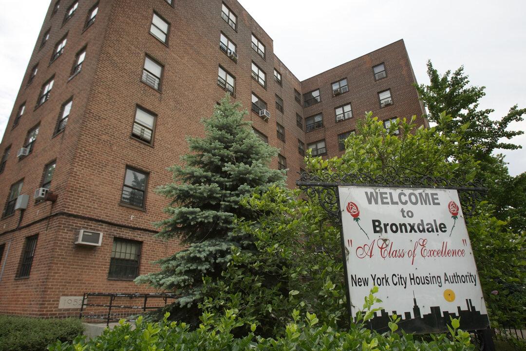 Bronx NYCHA Tenants Sue for Repairs