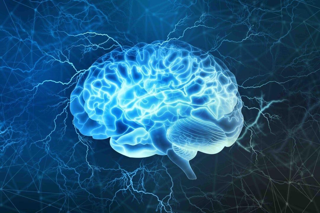 The Neuroscience of Near-Death Experiences