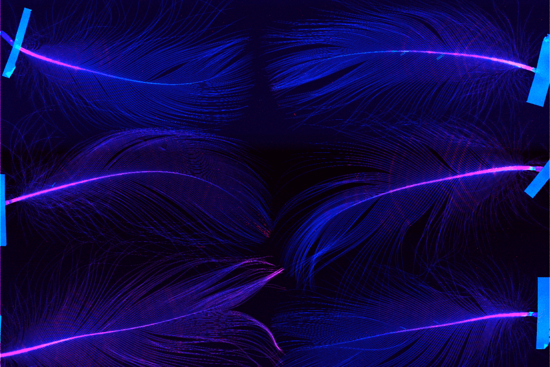 Australian Scientists Find Plastic’s Toxic Footprint at Molecular Level