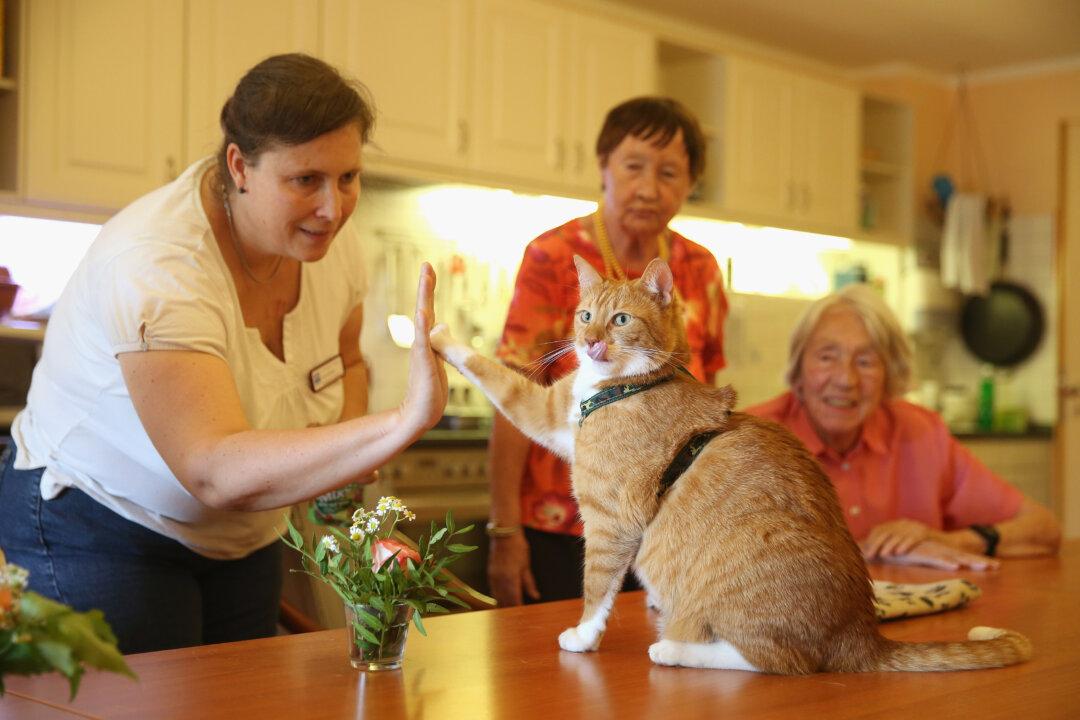 America Needs Community Mental Health Care