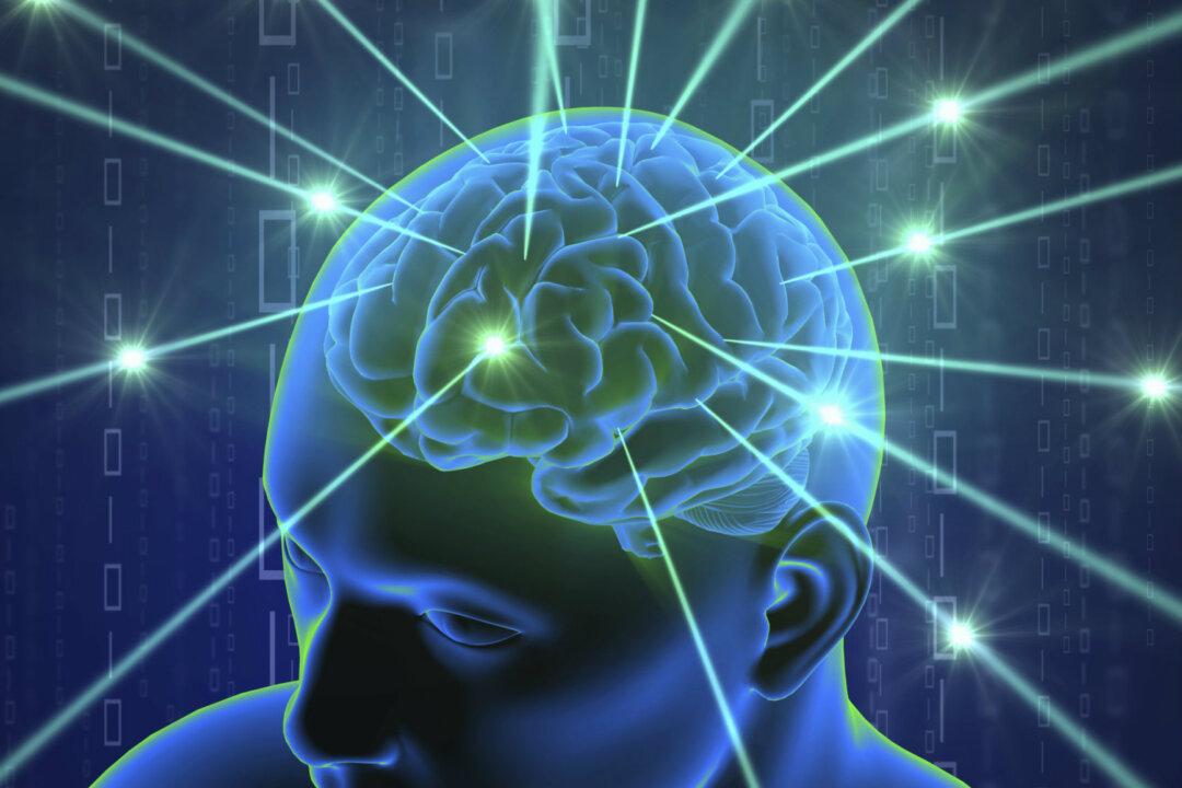 You Have a ‘GPS’ in Your Brain, Could It Help You Find Love? Your Lost Dog?