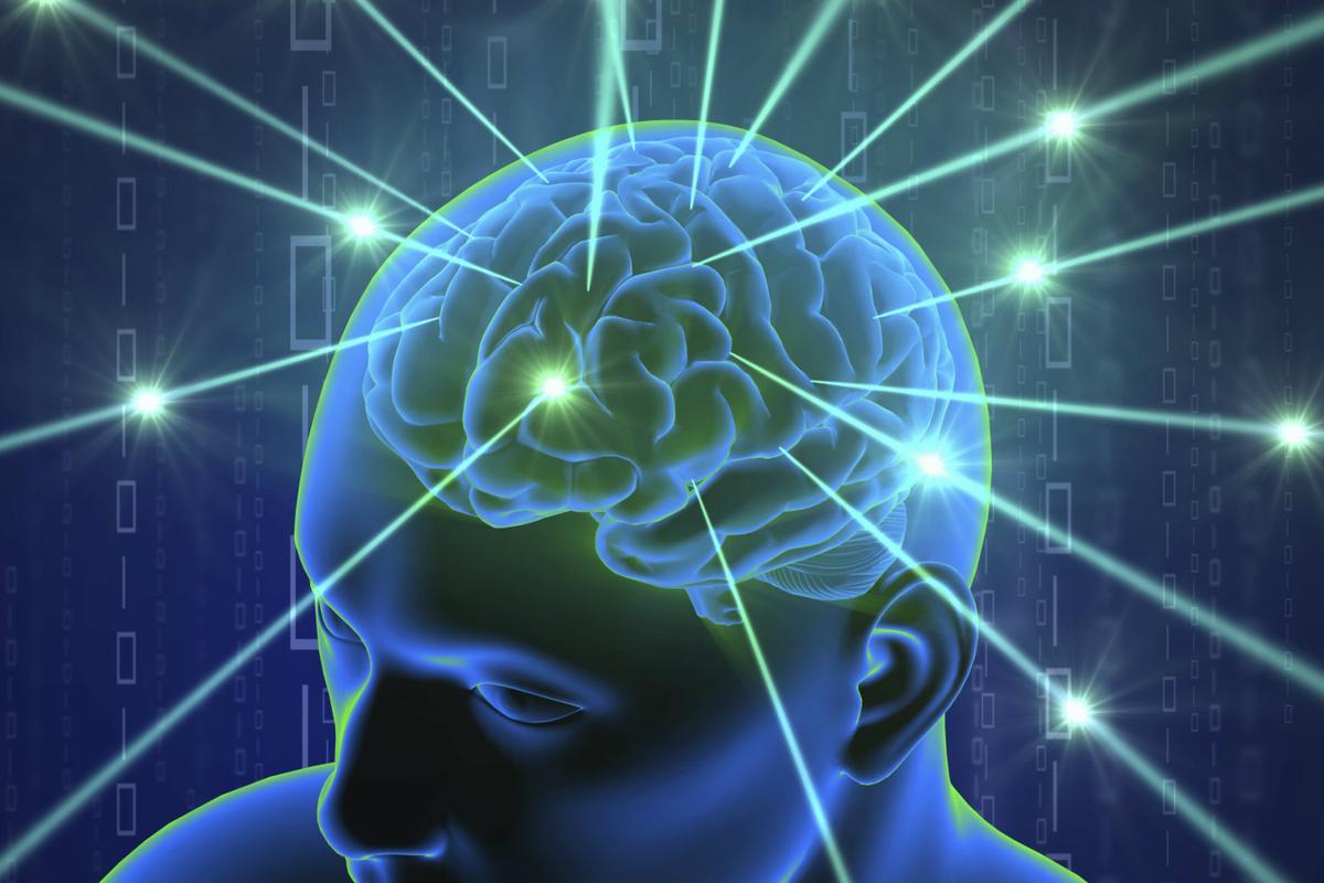 You Have a ‘GPS’ in Your Brain, Could It Help You Find Love? Your Lost Dog?