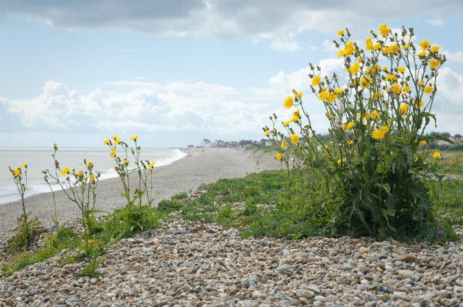 6 Great UK Coastal Destinations