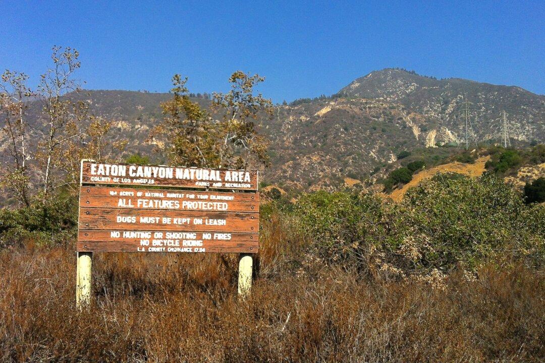 Social Media May Encourage Dangerous Activities in Parks and Forests