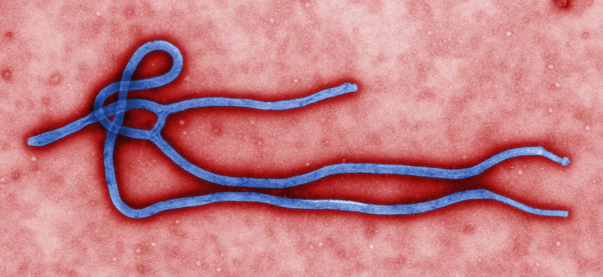 Belton, Texas: Family Who Sat Near Ebola Nurse on Plane Quarantined
