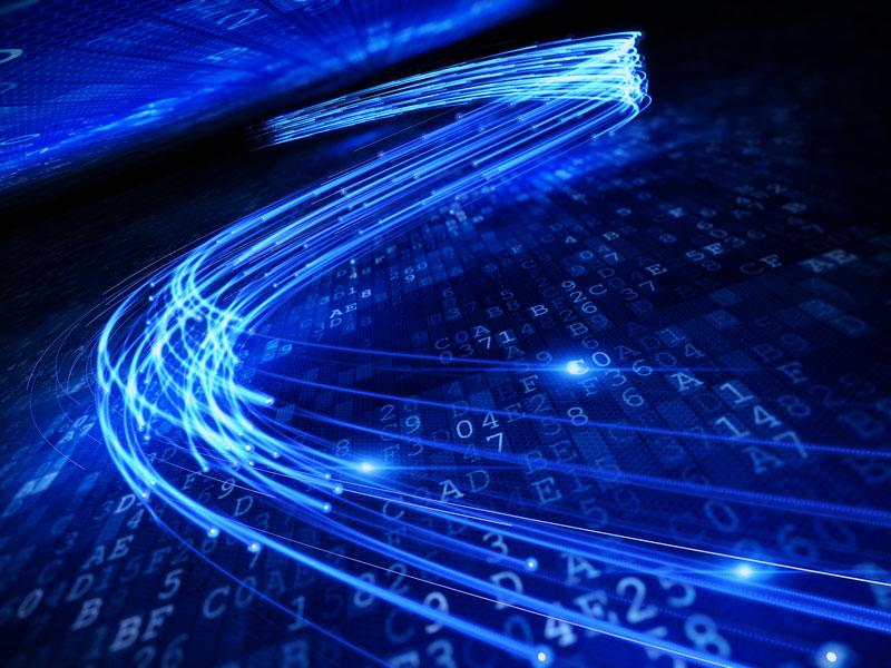 What BitTorrent Users Reveal About the World