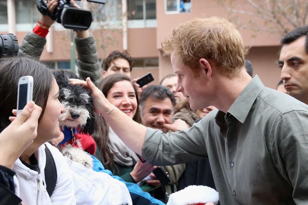 Prince Harry Going Bald and Considering Hair Transplants, Sketchy Report Says