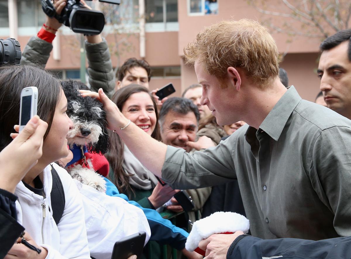 Prince Harry Going Bald and Considering Hair Transplants, Sketchy Report Says