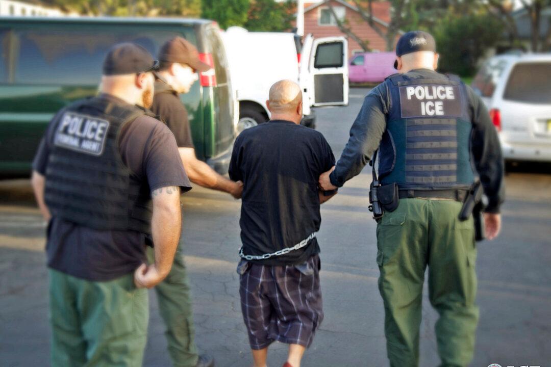 ICE Immigration Sweep Catches Dreamers with Criminal Records