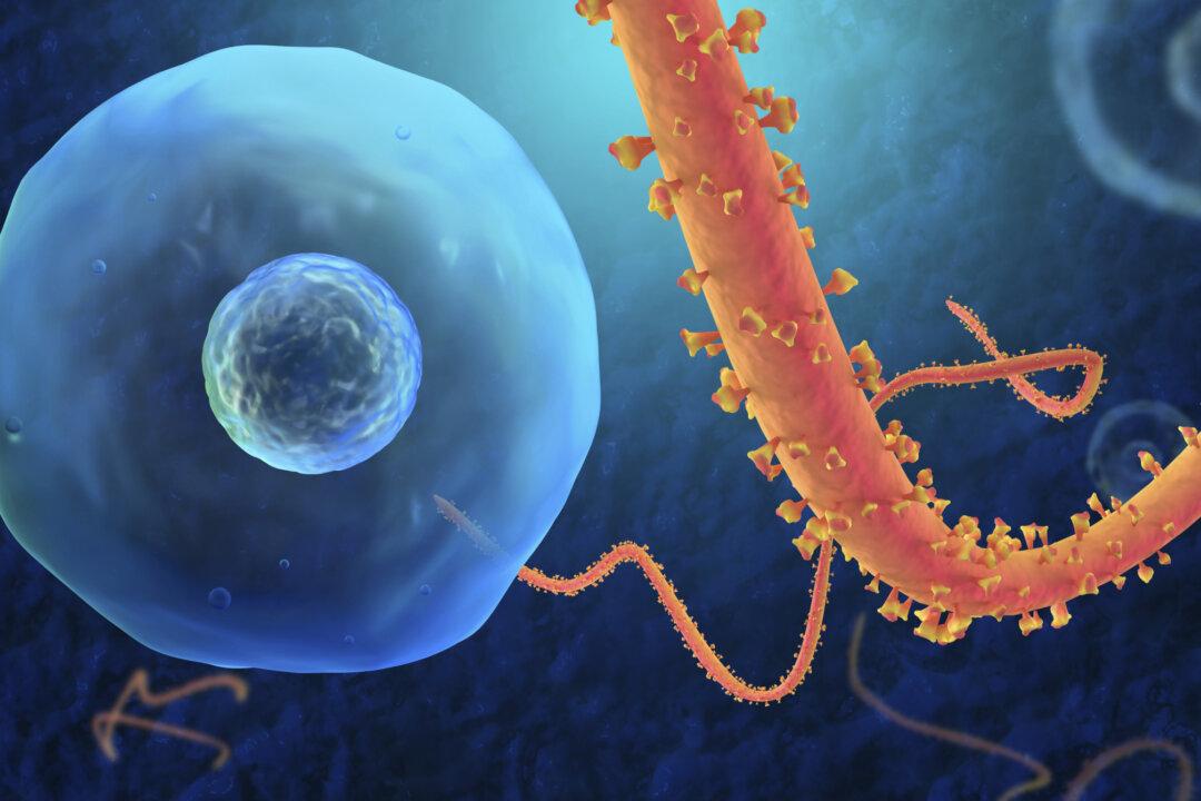 Are Some People Immune to Ebola?