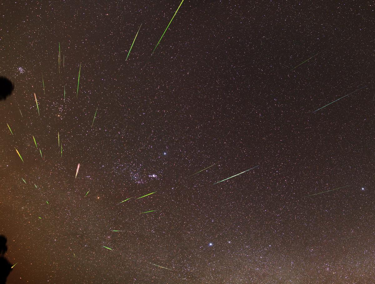 WATCH: One of the Year’s Best Meteor Showers, Thanks to Halley’s Comet