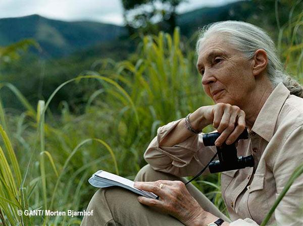Jane Goodall Joins Mongabay for Conservation