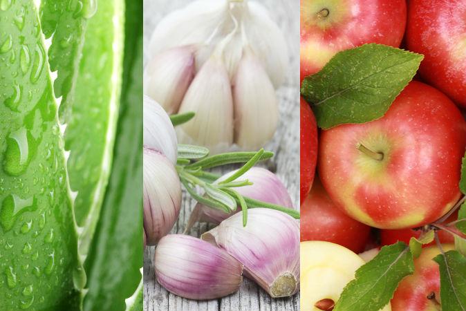 Top 5 Plant-Based Foods That Improve Your Digestion