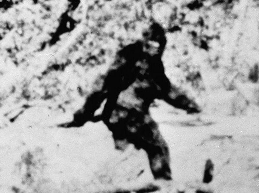 Bigfoot Should be on Endangered Species List, New York County Legislators Hear