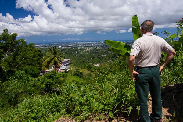 Recognize Novel Forests to Conserve Them