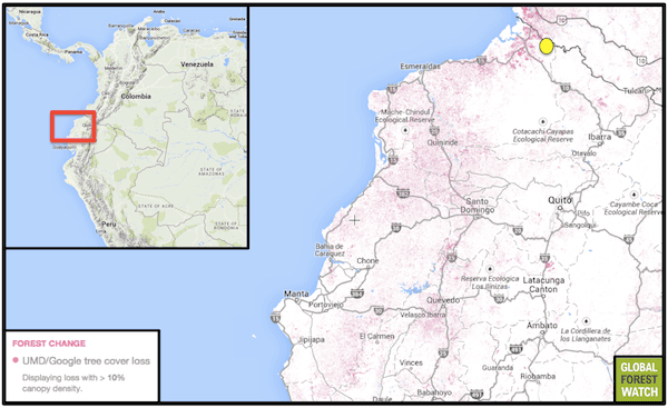 Ecuador--Dracula Reserve Proposed