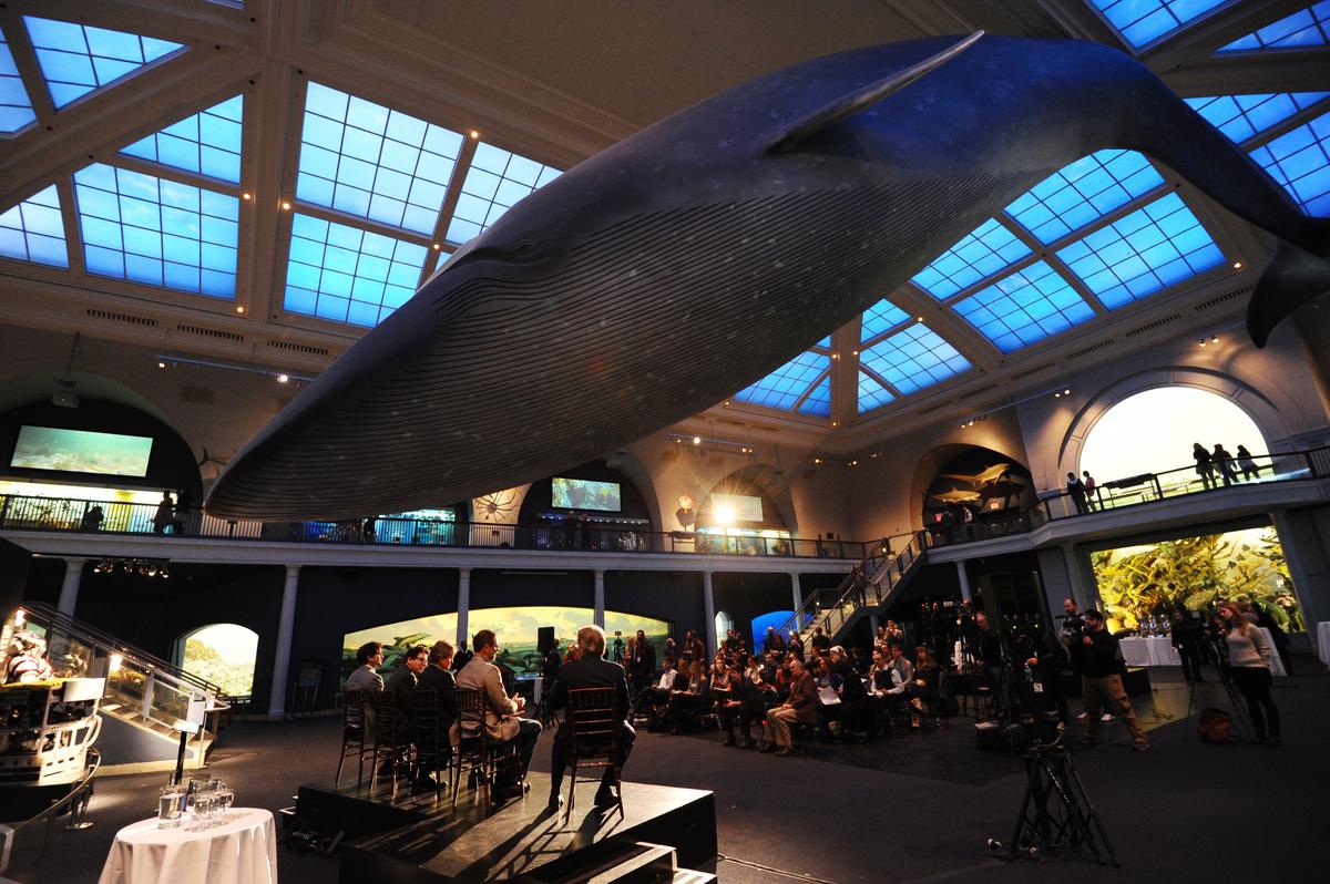 The American Museum of Natural History Celebrates Second Graduating Class of Scientists