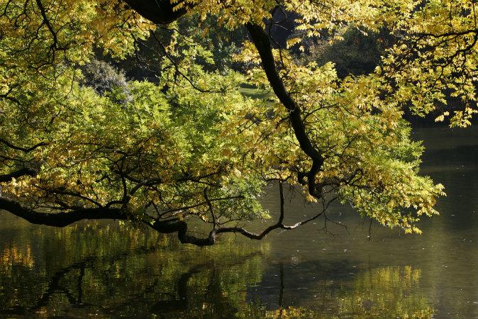 Top 5 Gardens to Discover in Paris