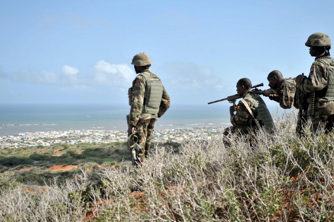 UAE Official Warns of Potential for ISIS-Shabab Link