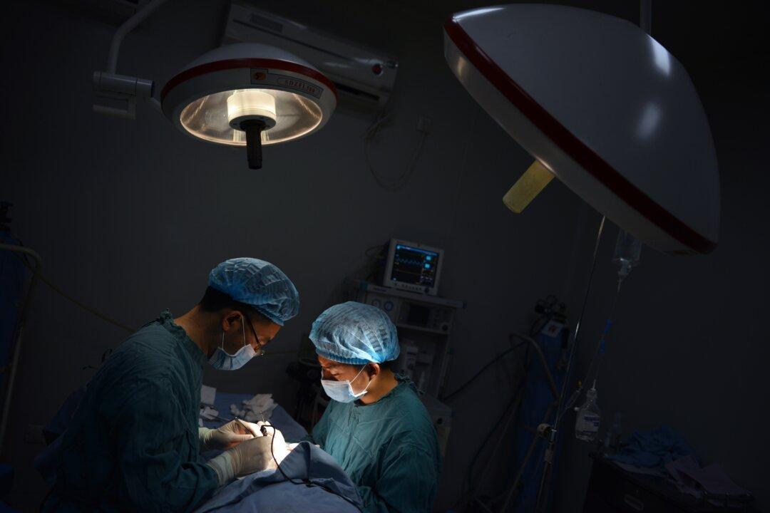 Organ Transplantation Experience in China Is Ultimate Horror Story