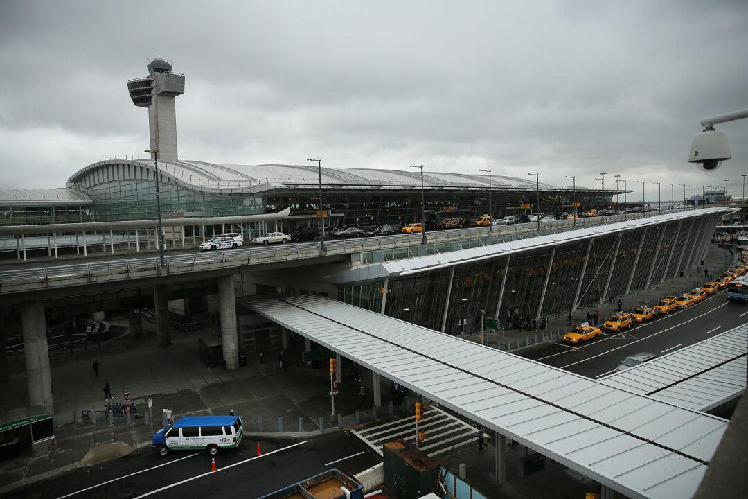 JFK Airport: American Airlines Plane Flight 1320 in Emergency Landing After Hitting Bird