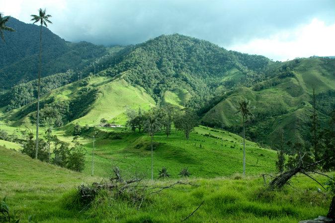 Best Time to Visit Santa Elena, Colombia