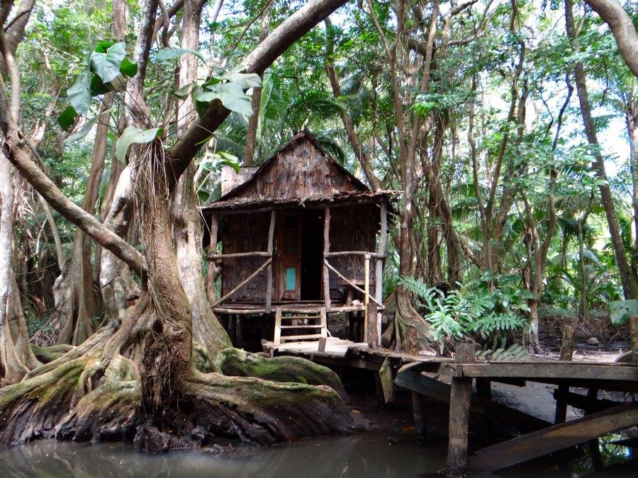 5 Adventures to Take in Dominica