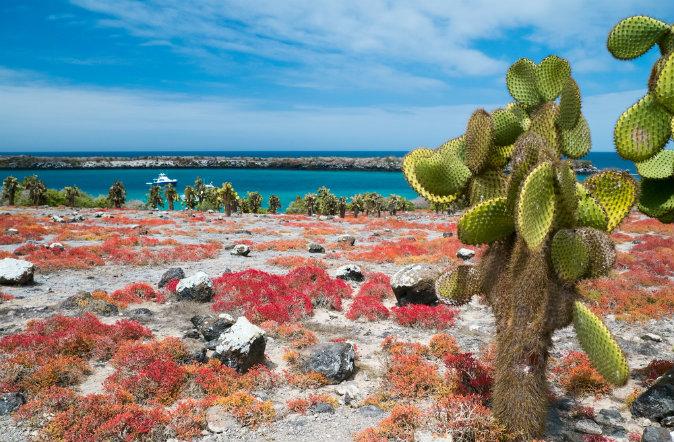 Things to See in the Galapagos Islands