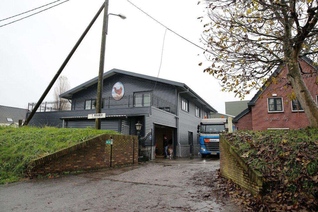 Avian Flu in Netherlands and UK Poses Low Risk to Humans