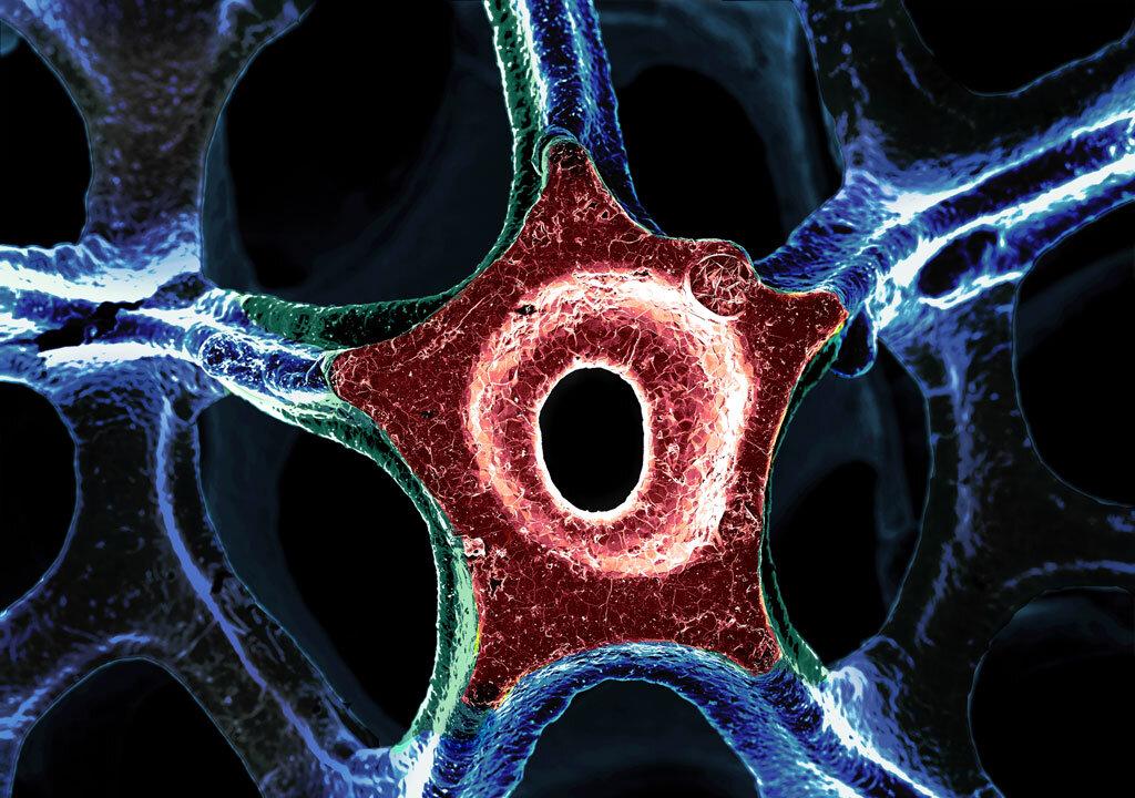 Engineering’s Unexpected and Microscopic Beauty