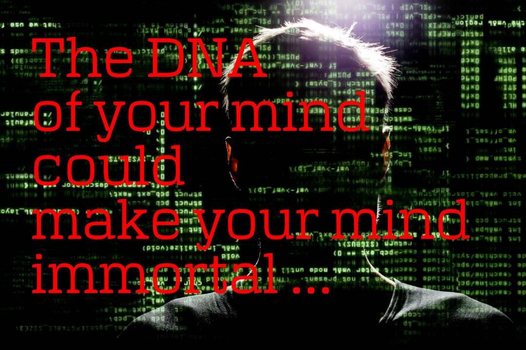 What Is the DNA of Your Mind?