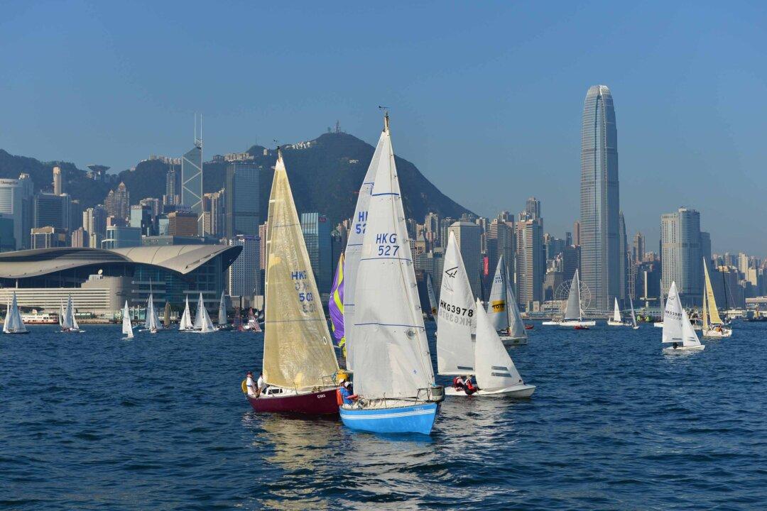 Top Dog Yachting Spectacle of the Year