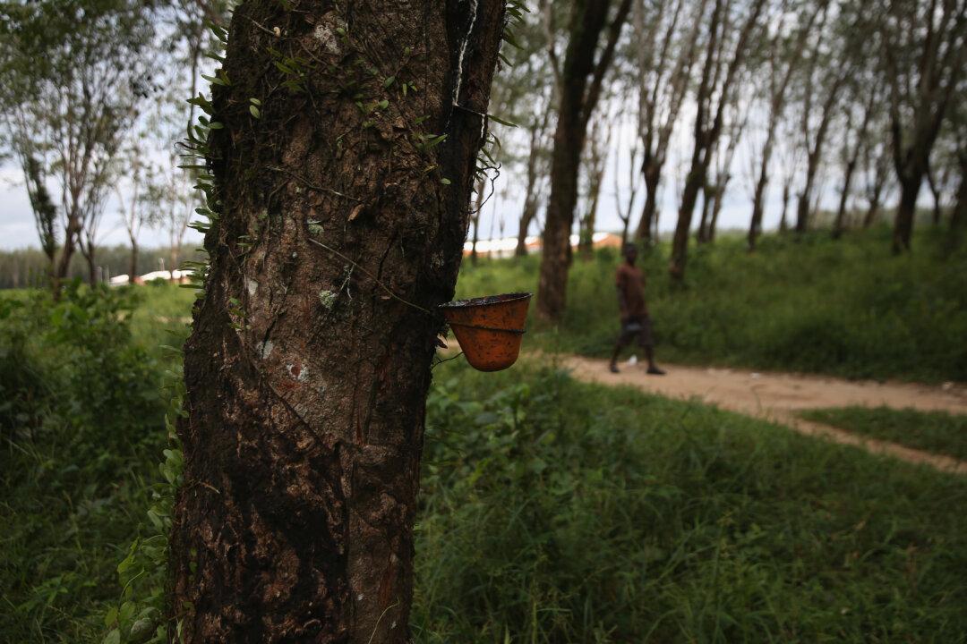 Firestone and the Warlord