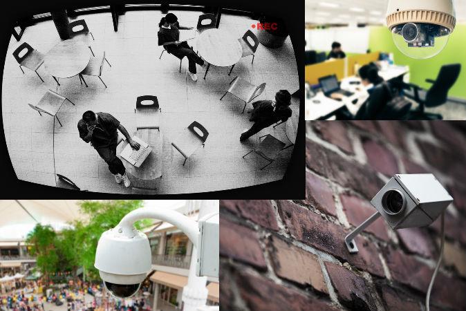 Cameras Work Together to Track a Single Person (+Video)