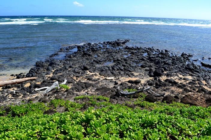 Trip to Beautiful Hawaii