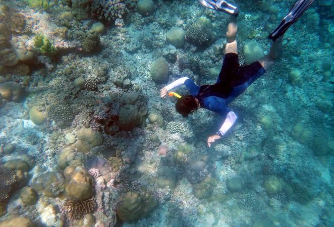 Top 5 Things to Do in the Maldives