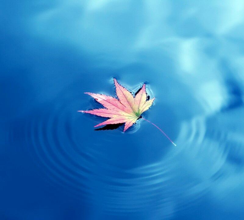 Coping With Disaster