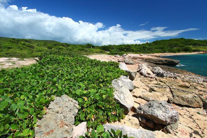 Things to Do in Guanica