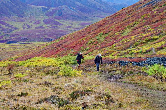 The Goldensides Hike in Tombstone Territorial Park, Yukon