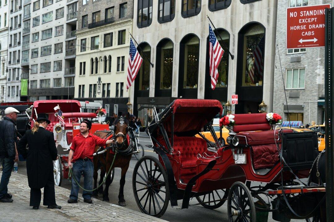 Taxi Workers Oppose Horse Carriage Ban Proposal