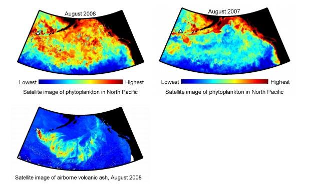 Volcanoes Can Feed Phytoplankton Blooms