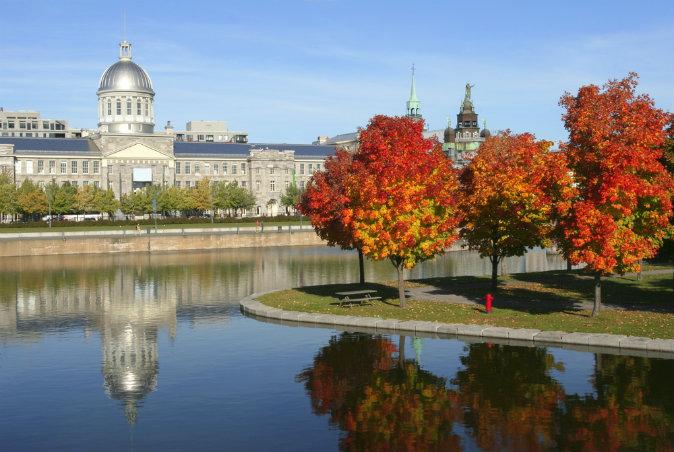 5 Things to Do in Montreal