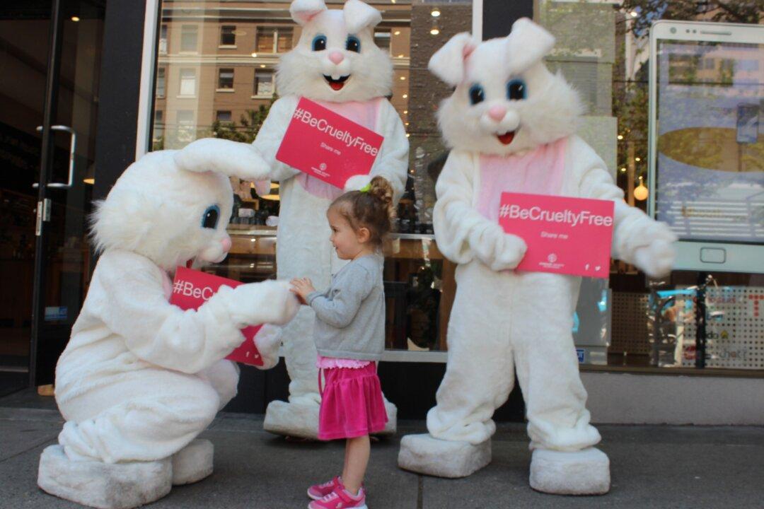 The Hidden Cost of Beauty