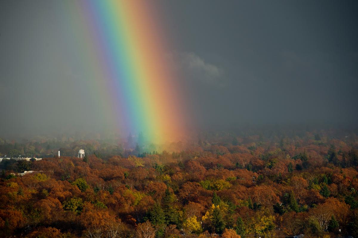 Why Most Rain Falls on the Driest Soil